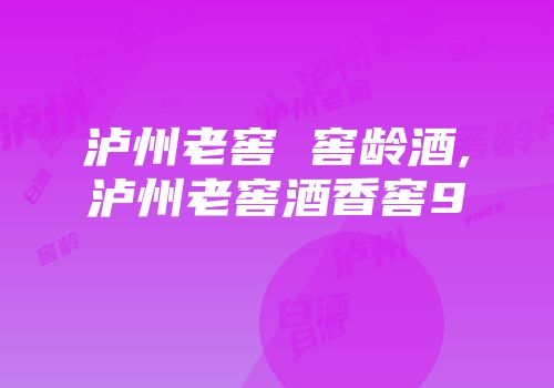 泸州老窖 窖龄酒,泸州老窖酒香窖9