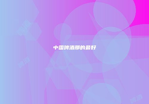 中国啤酒那的最好