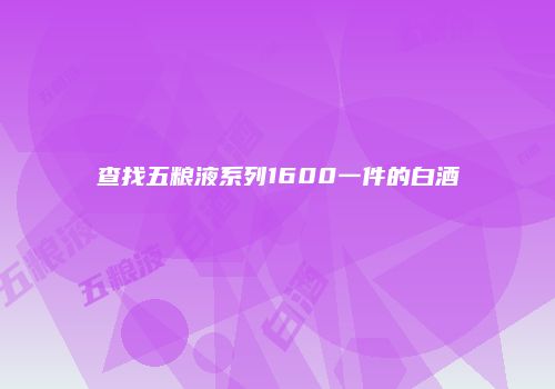 查找五粮液系列1600一件的白酒