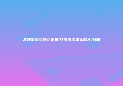 怎样喝葡萄酒才正确(红酒应该怎么喝才正确)