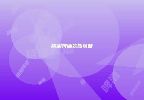 精酿啤酒装瓶设备