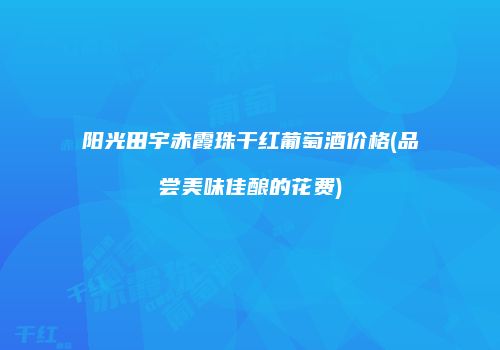 阳光田宇赤霞珠干红葡萄酒价格(品尝美味佳酿的花费)