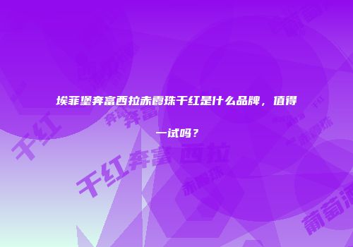 埃菲堡奔富西拉赤霞珠干红是什么品牌，值得一试吗？