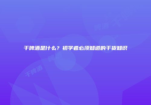 干啤酒是什么？初学者必须知道的干货知识