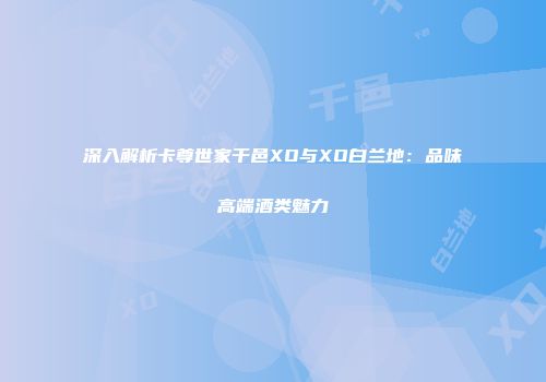 深入解析卡尊世家干邑XO与XO白兰地：品味高端酒类魅力