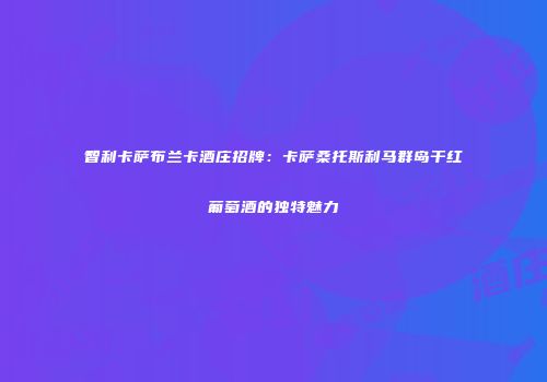 智利卡萨布兰卡酒庄招牌：卡萨桑托斯利马群岛干红葡萄酒的独特魅力