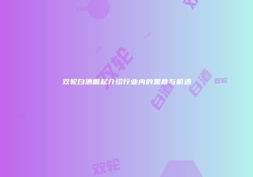 双轮白酒崛起介绍行业内的黑幕与机遇