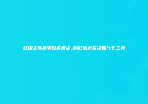 红酒工具套装图解用法_喝红酒需要准备什么工具