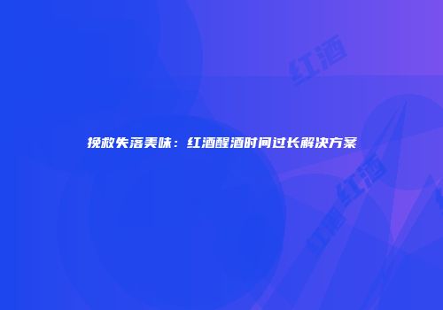 挽救失落美味：红酒醒酒时间过长解决方案