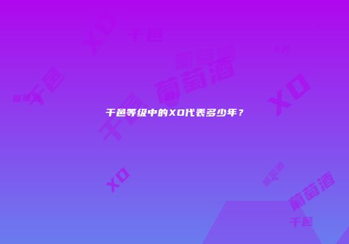 干邑等级中的XO代表多少年？