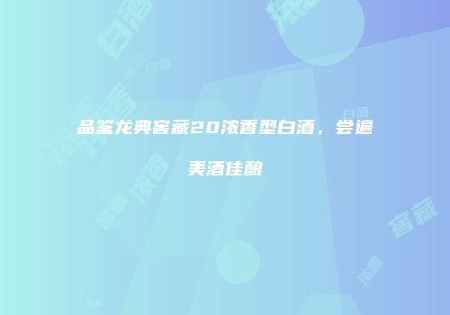 品鉴龙典窖藏20浓香型白酒，尝遍美酒佳酿