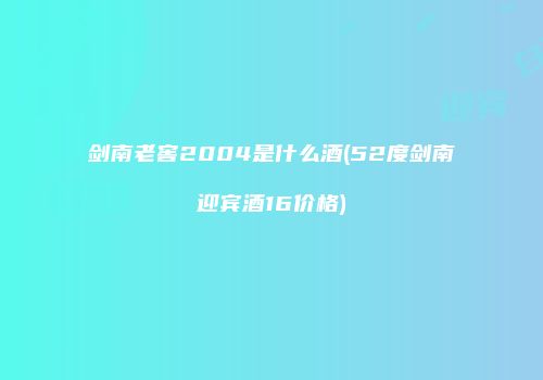 剑南老窖2004是什么酒(52度剑南迎宾酒16价格)