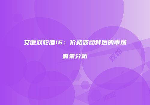 安徽双轮酒16：价格波动背后的市场前景分析