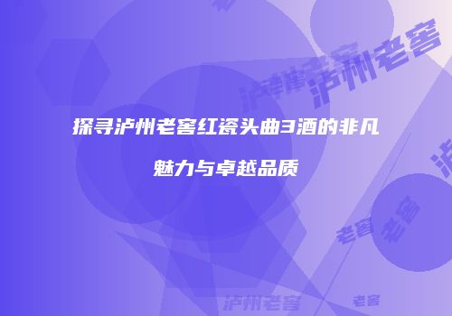 探寻泸州老窖红瓷头曲3酒的非凡魅力与卓越品质
