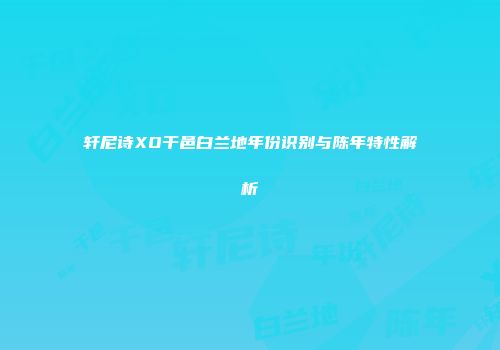 轩尼诗XO干邑白兰地年份识别与陈年特性解析