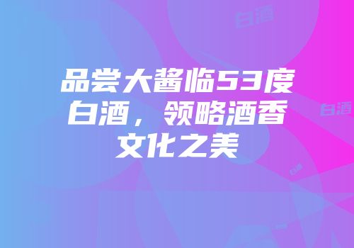 品尝大酱临53度白酒，领略酒香文化之美