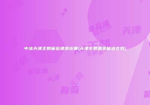 中法天津王朝葡萄酒堡在哪(天津王朝酒堡能进去吗)