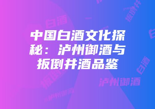 中国白酒文化探秘：泸州御酒与扳倒井酒品鉴