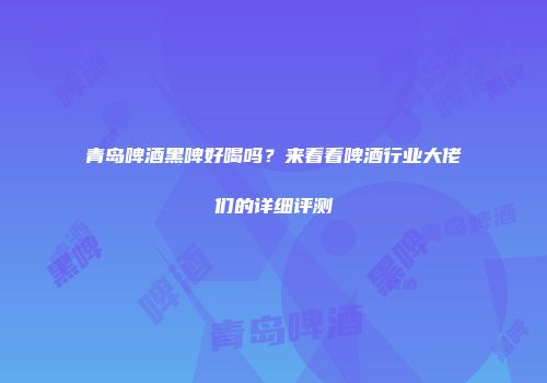 青岛啤酒黑啤好喝吗？来看看啤酒行业大佬们的详细评测