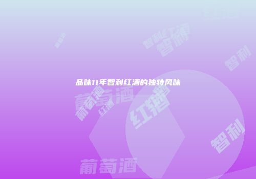品味11年智利红酒的独特风味