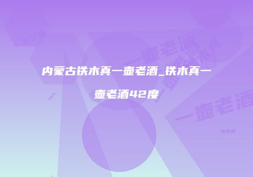 内蒙古铁木真一壶老酒_铁木真一壶老酒42度