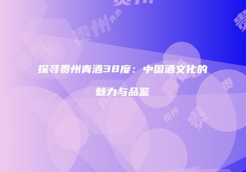 探寻贵州青酒38度：中国酒文化的魅力与品鉴