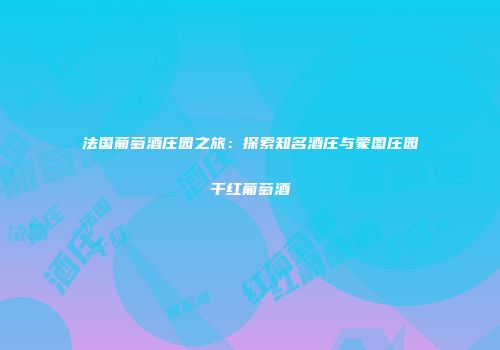 法国葡萄酒庄园之旅：探索知名酒庄与蒙图庄园干红葡萄酒