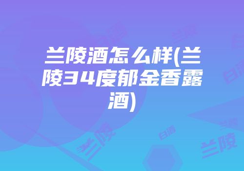 兰陵酒怎么样(兰陵34度郁金香露酒)