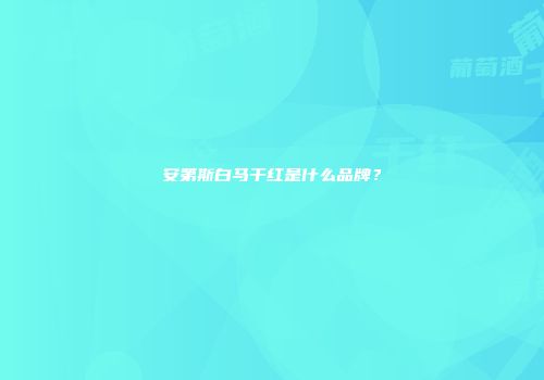 安第斯白马干红是什么品牌？