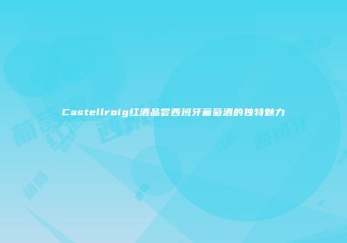 Castellroig红酒品尝西班牙葡萄酒的独特魅力