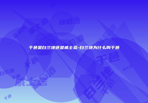 干邑是白兰地还是威士忌-白兰地为什么叫干邑