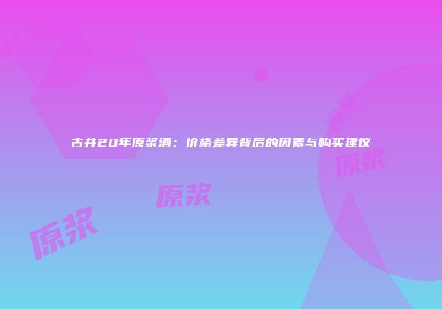 古井20年原浆酒：价格差异背后的因素与购买建议