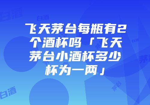 飞天茅台每瓶有2个酒杯吗「飞天茅台小酒杯多少杯为一两」
