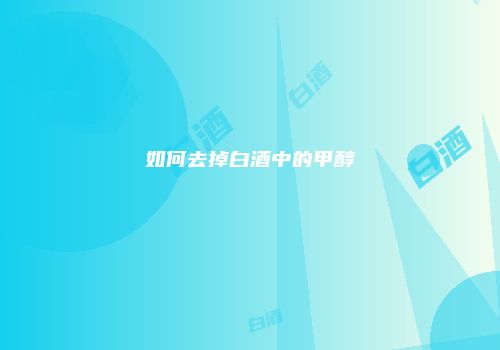 如何去掉白酒中的甲醇