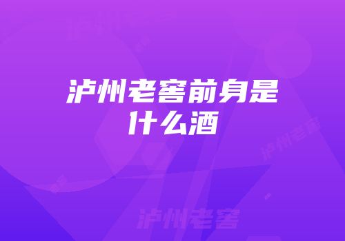 泸州老窖前身是什么酒
