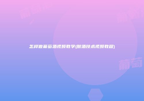 怎样做葡萄酒视频教学(酿酒技术视频教程)