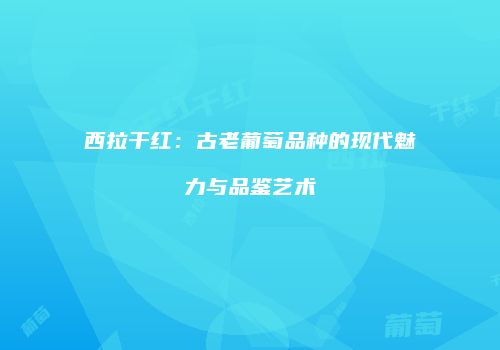 西拉干红：古老葡萄品种的现代魅力与品鉴艺术
