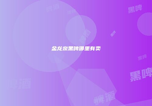 金龙泉黑啤哪里有卖