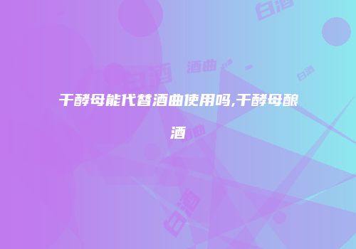 干酵母能代替酒曲使用吗,干酵母酿酒