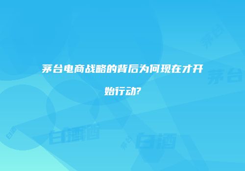 茅台电商战略的背后为何现在才开始行动?