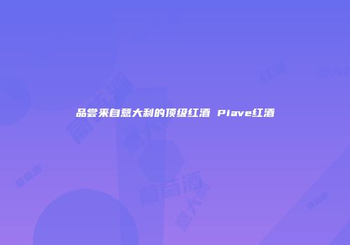 品尝来自意大利的顶级红酒 Piave红酒