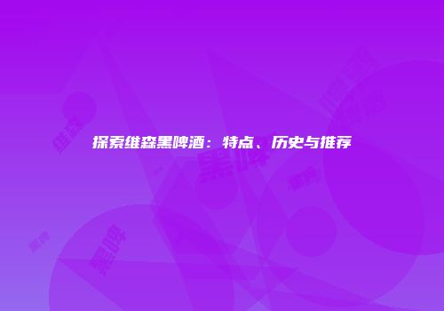 探索维森黑啤酒：特点、历史与推荐