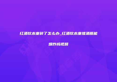 红酒软木塞碎了怎么办_红酒软木塞推酒瓶能爆炸吗视频