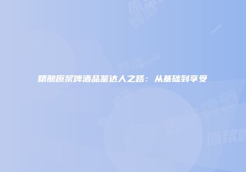 精酿原浆啤酒品鉴达人之路：从基础到享受