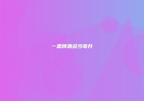 一麦啤酒多少毫升