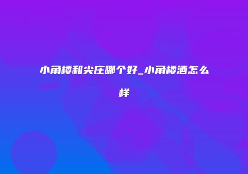 小角楼和尖庄哪个好_小角楼酒怎么样