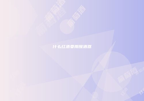 什么红酒要用醒酒器