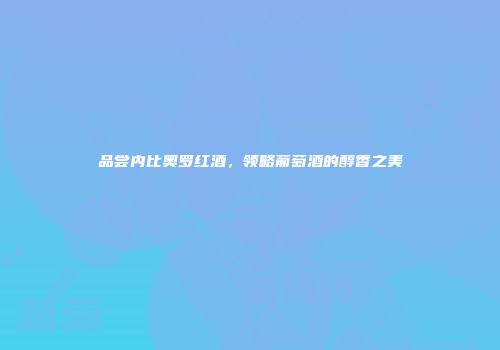 品尝内比奥罗红酒，领略葡萄酒的醇香之美