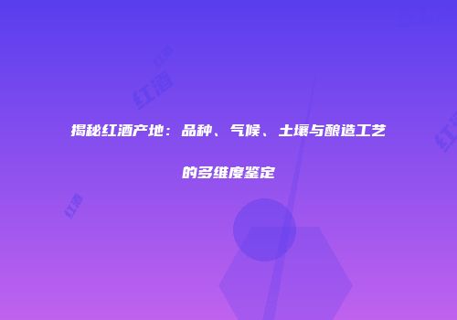 揭秘红酒产地：品种、气候、土壤与酿造工艺的多维度鉴定