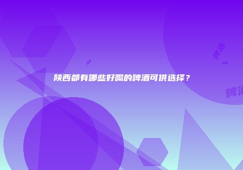 陕西都有哪些好喝的啤酒可供选择？